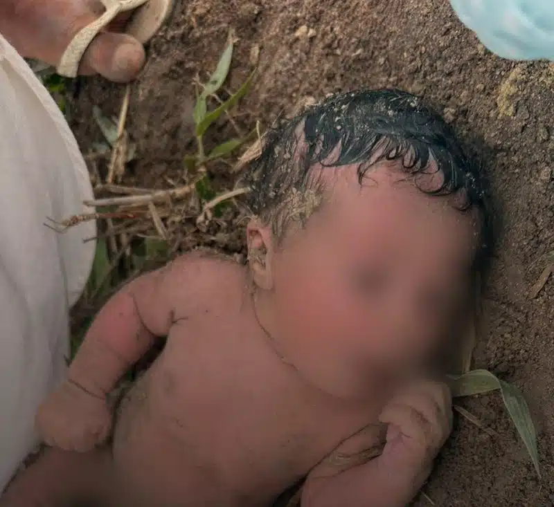 A bebê recém-nascida logo quando foi encontrada