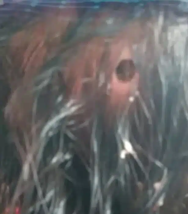 Avó falou sobre a situação da neta