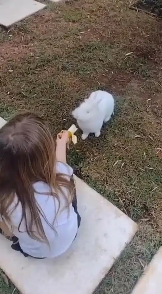 Manu, caçula de Eliana, alimentando o coelhinho da família