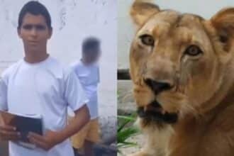 Novo vídeo de Vaqueirinho foi revelado e a família se pronunciou