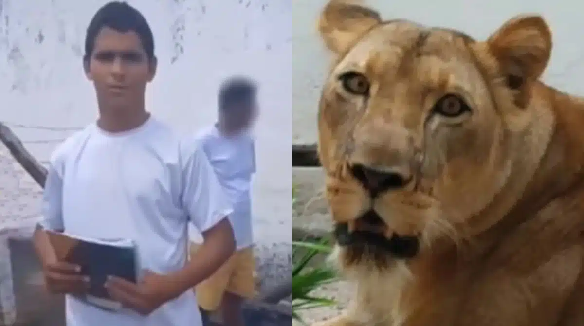 Novo vídeo de Vaqueirinho foi revelado e a família se pronunciou