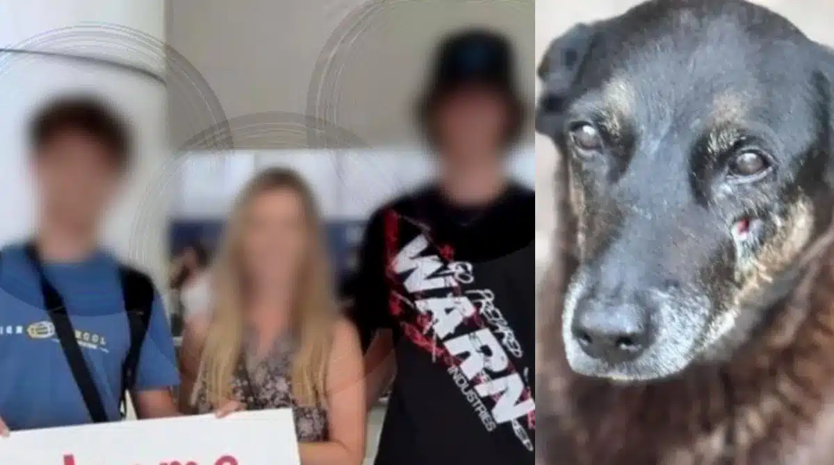 Adolescentes voltaram ao país após tirarem a vida do cão Orelha