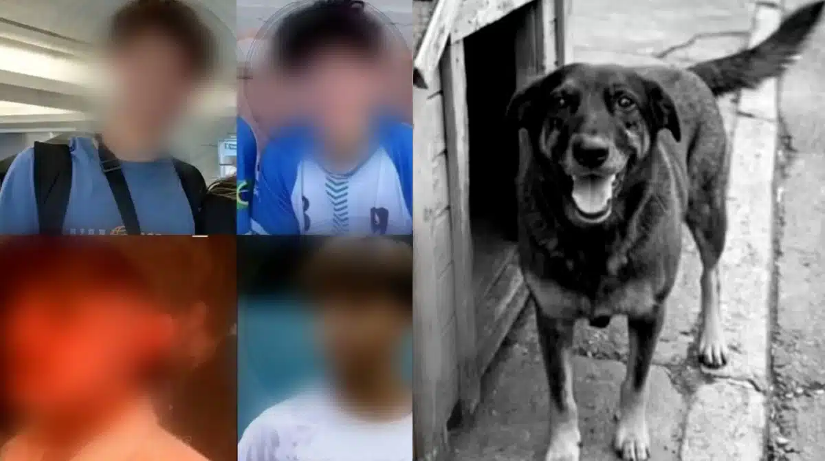 Porteiro emitiu nota sobre o Cão Orelha e os adolescentes