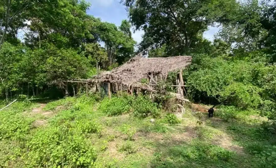 Local para o qual a criança voltou