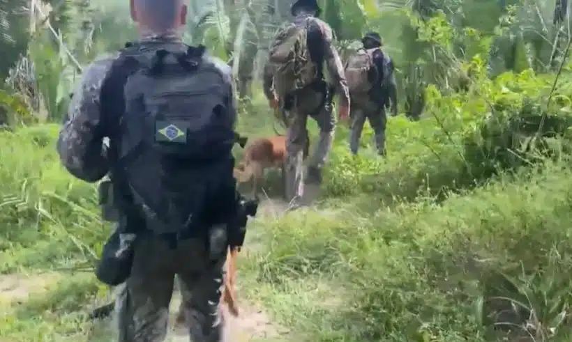 Equipes nas buscas pelas crianças que sumiram