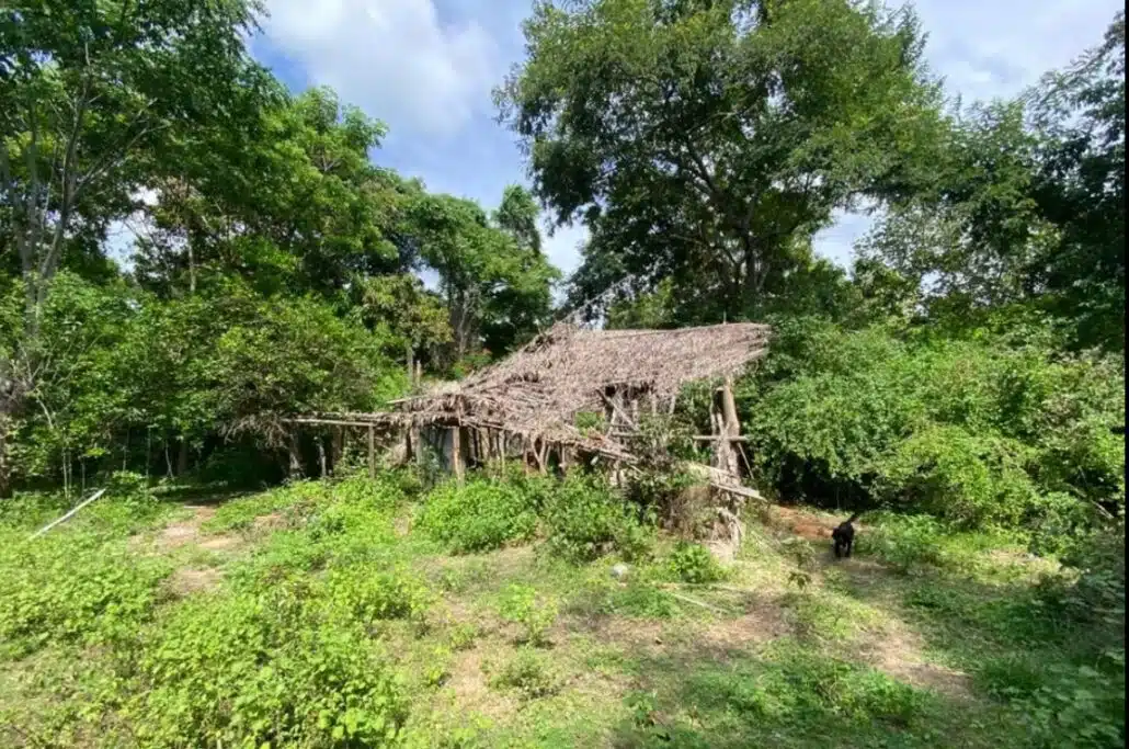 Casebre no qual crianças desaparecidas ficaram