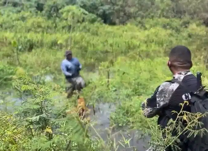 Equipes buscando pelas crianças desaparecidas
