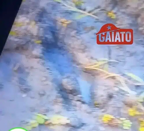 Pegada achada durante procura pelas crianças