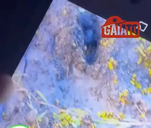 Outra pegada encontrada durante as buscas pelas duas crianças