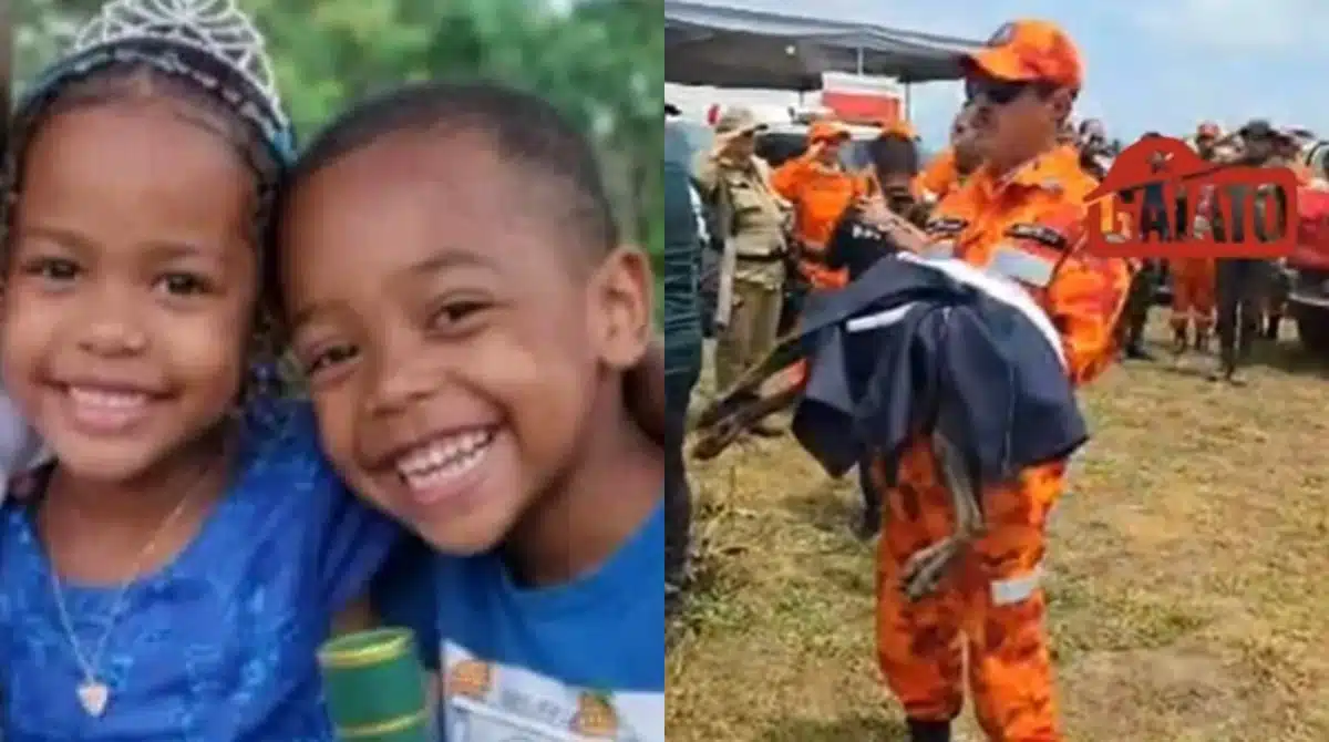 Cão farejador partiu em buscas por irmãos desaparecidos