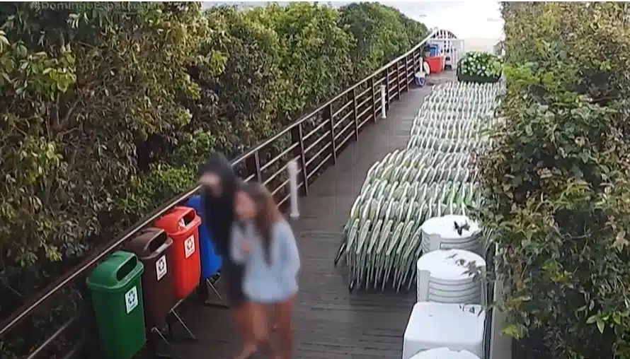 Adolescente e garota do cão Orelha. / P0lícia Civil