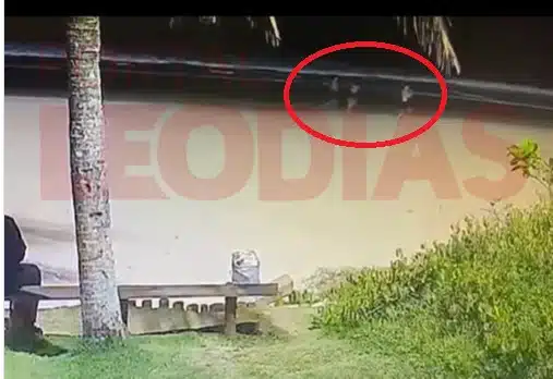 Adolescentes agindo diante do Caramelo, imagens do Cão Orelha não existem