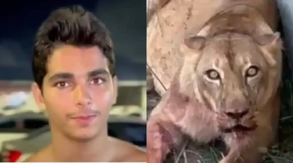 Rapaz Vaqueirinho recebeu túmulo meses após partida