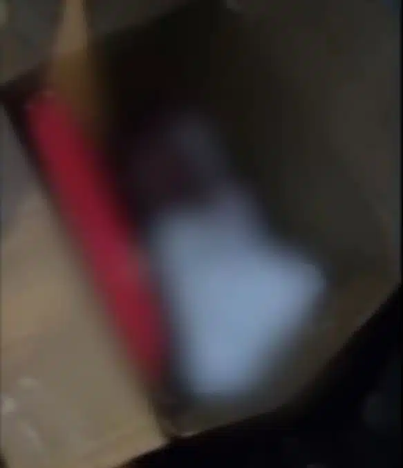 Recém-nascido foi encontrado dentro de caixa de papelão