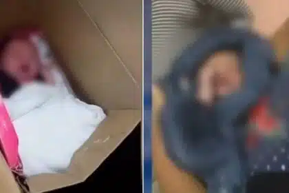 Foi revelado o que aconteceu ao recém-nascido achado na caixa de papelão
