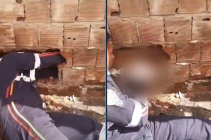 O bebê recém-nascido foi achado entre duas casas