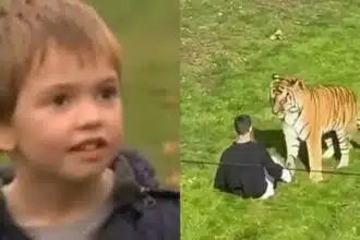 Rapaz que partiu quando invadiu jaula do tigre foi ator-mirim