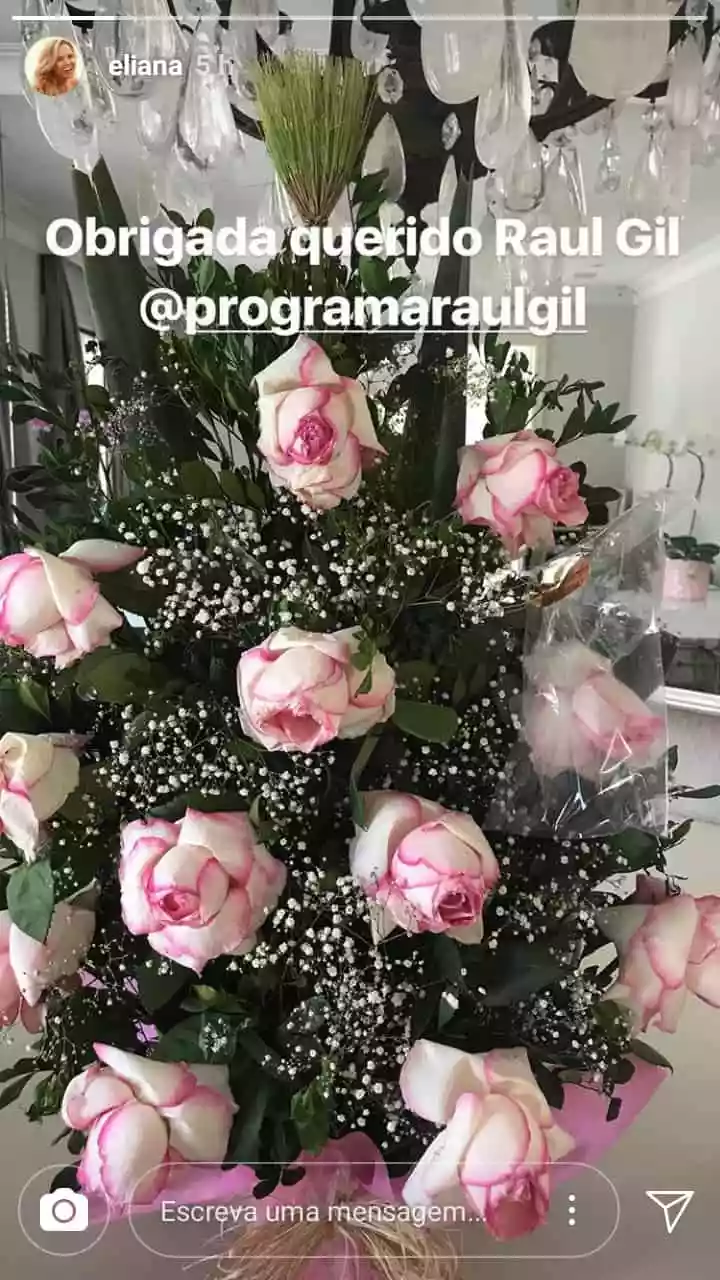 Flores que Raul Gil mandou para Eliana 