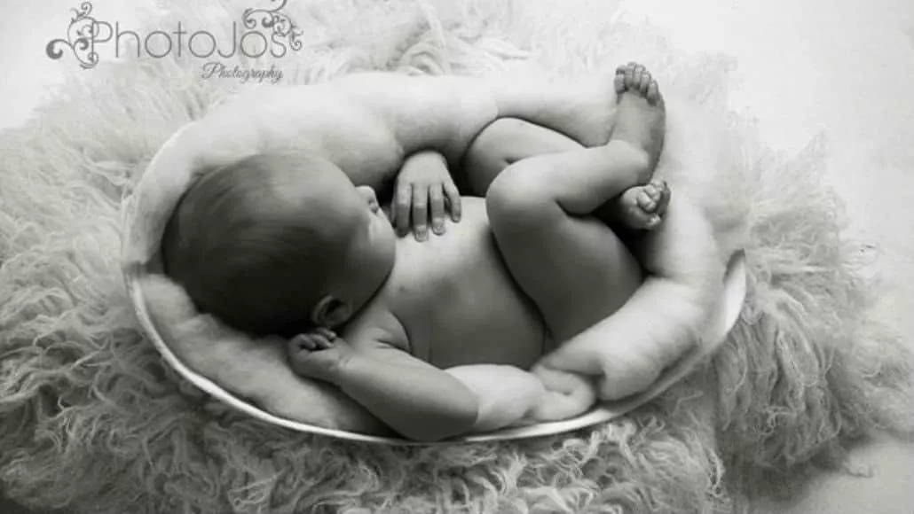 Fotos de recém-nascidos no gesso