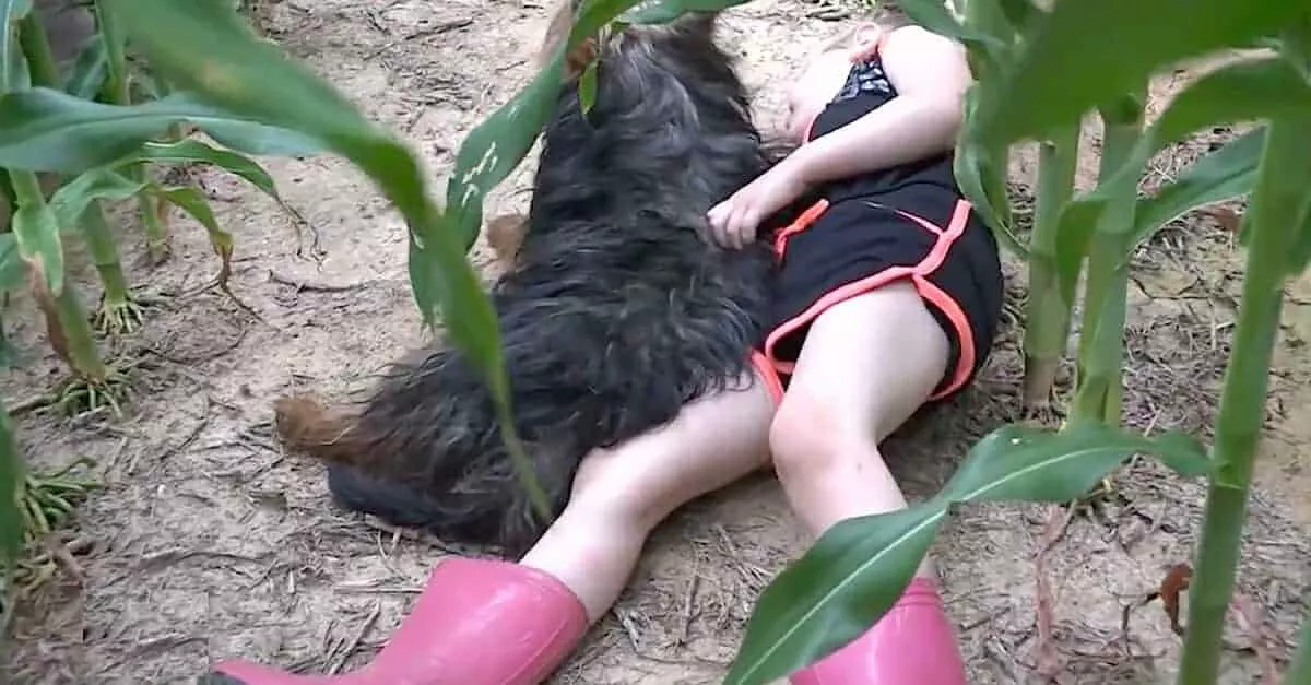 A menina com seu cachorrinho na plantação de milho