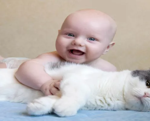 Aprenda como é a relação entre bebês e animais de estimação