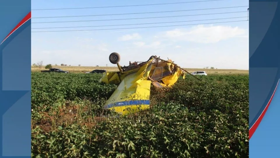 Avião que caiu durante acidente em chá revelação