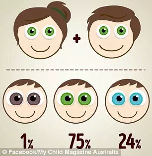 Os dois pais tem olhos verdes 