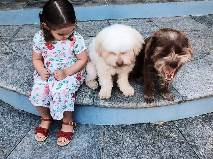 Filha de José Loreto e Débora Nascimento com os pets da família