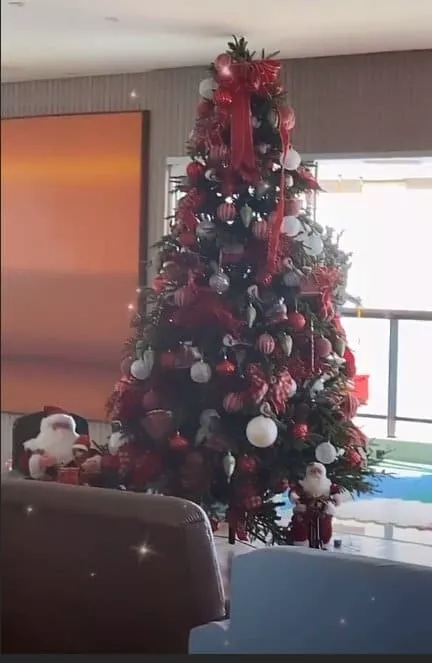 A árvore de natal da cantora Ivete Sangalo