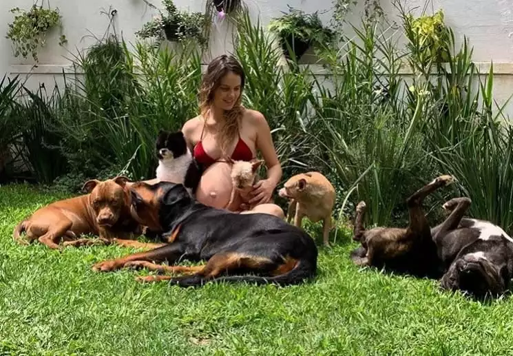 Laura Neiva e seus seis cachorros no fim da gravidez