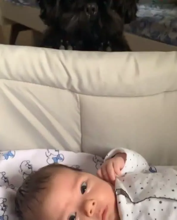 Rafael Vitti mostrou sua filha com o cãozinho deles