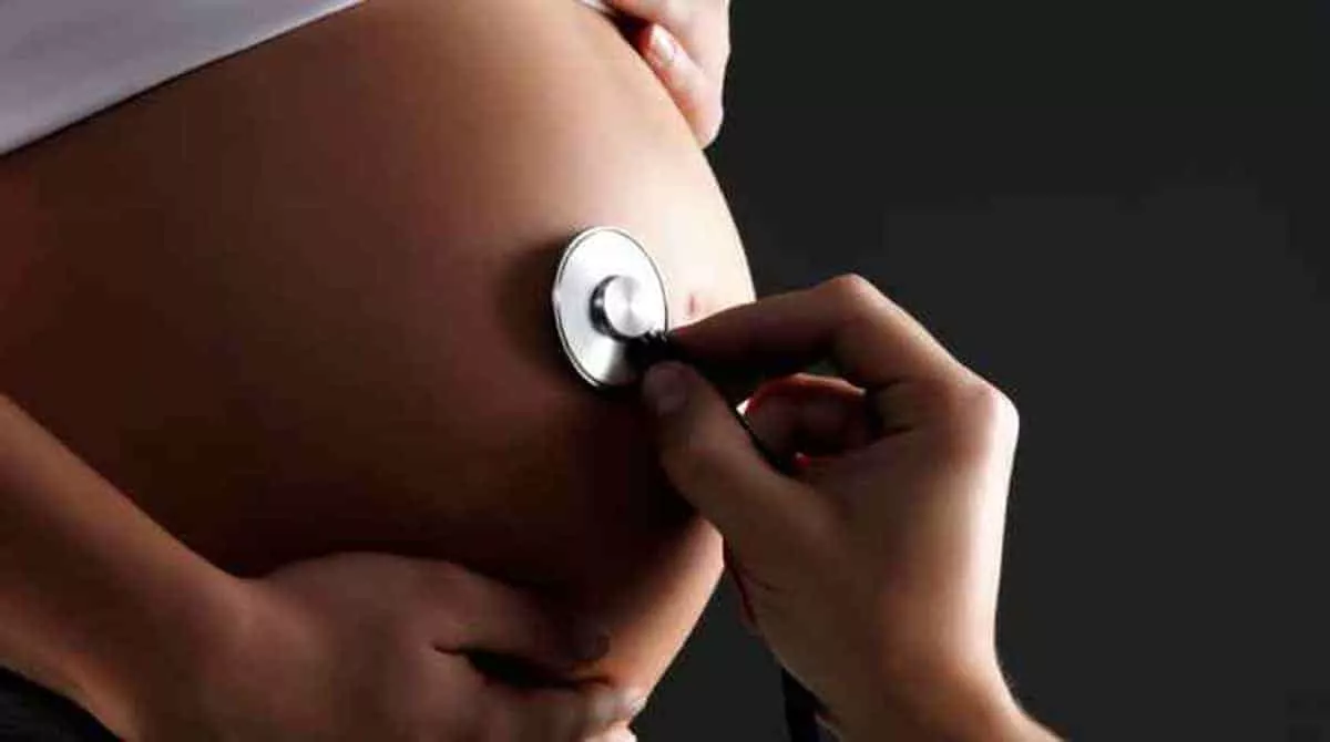 Entenda como grávidas podem se prevenir da rubéola
