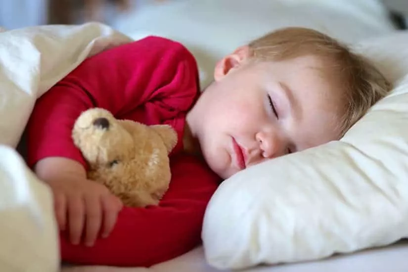 Ursinhos deixam as crianças mais tranquilas ao saírem do berço para cama