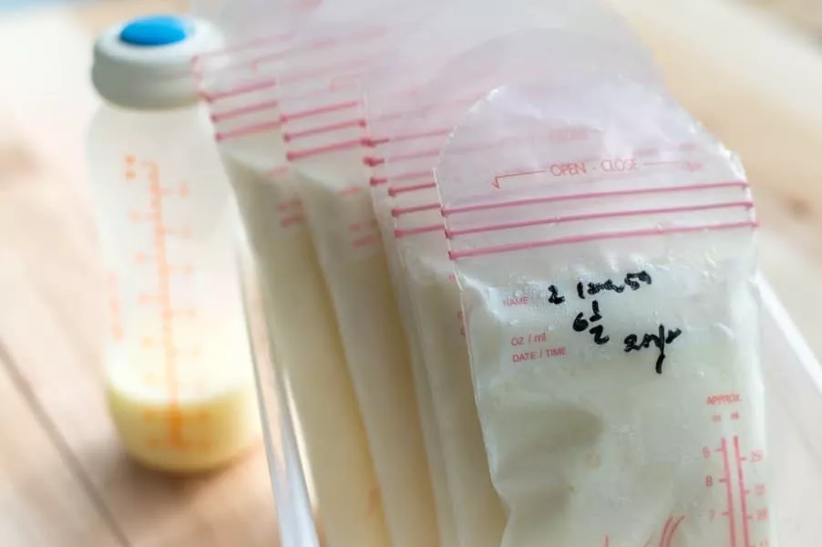 Depois da ordenha, é importante armazenar o leite de forma correta 