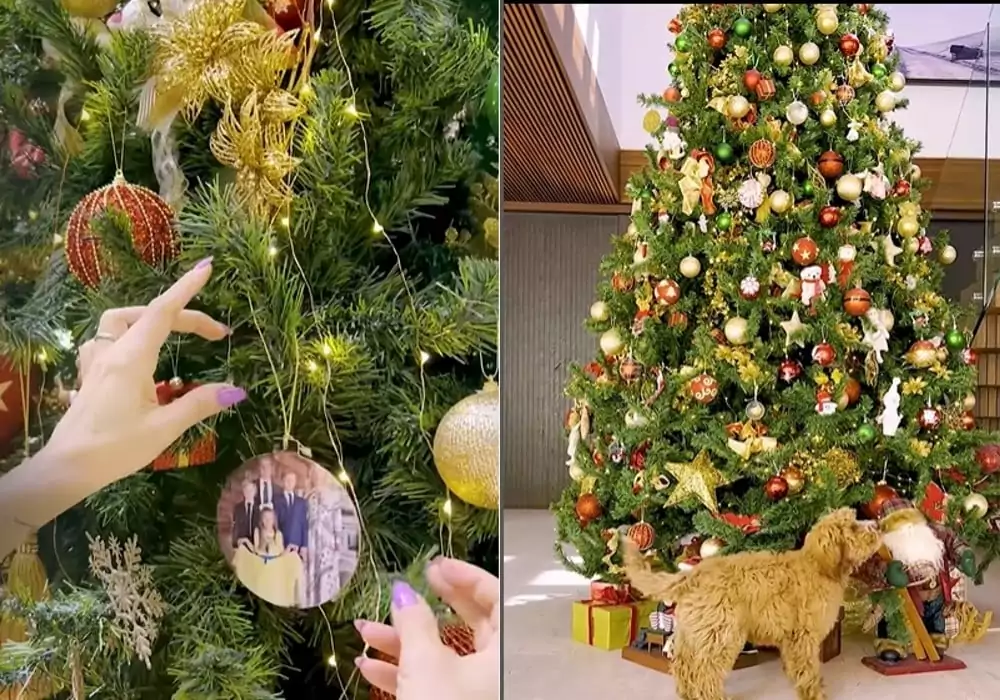 Angélica mostrando sua árvore de Natal 