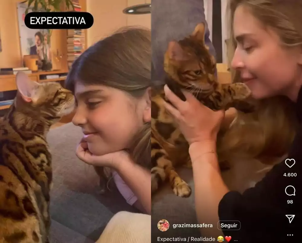 Grazi Massafera e a filha surgem com gatinha de raça rara