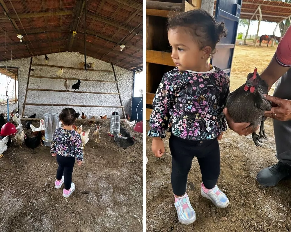Liz, bebê de Lore e Léo Santana, visitando o galinheiro da fazenda