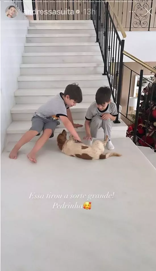 Os filhos de Andressa Suita e Gusttavo Lima com um de seus cachorros