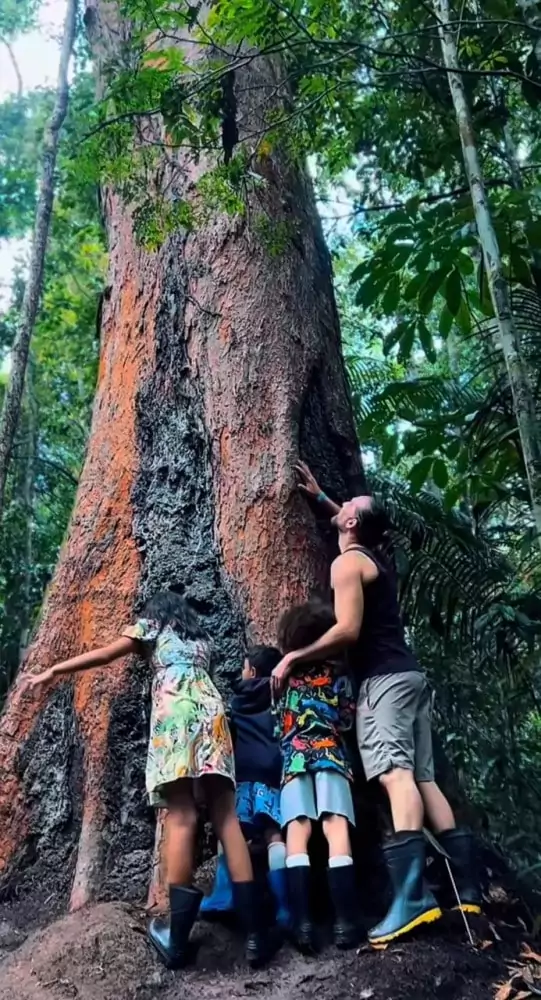 Igor Rickli mostra passeio com os filhos na floresta